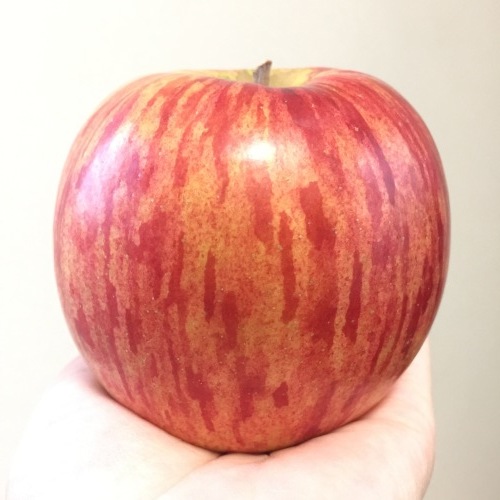 アップルマラソンの戦利品_a0134394_16390884.jpeg