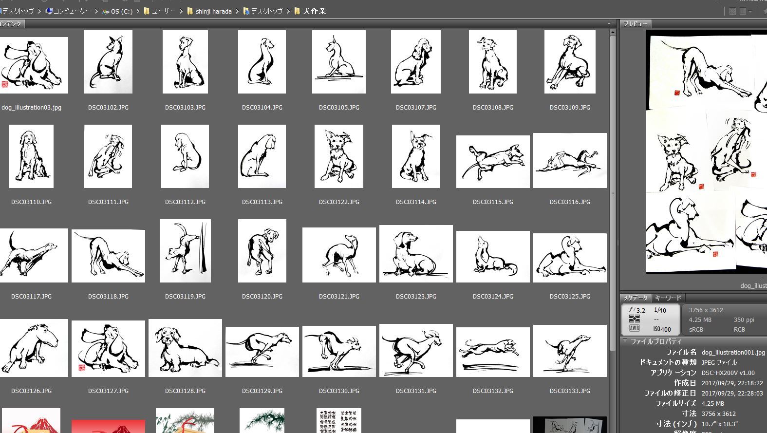 犬 戌のイラスト作成中 筆一本あれば人生は楽し イラストレーター原田伸治 犬 戌のイラスト作成中 筆一本あれば人生は楽し イラストレーター原田伸治