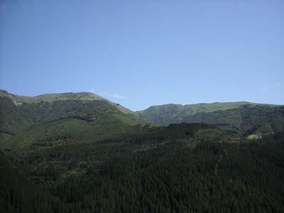 f0308898_19263111.jpg