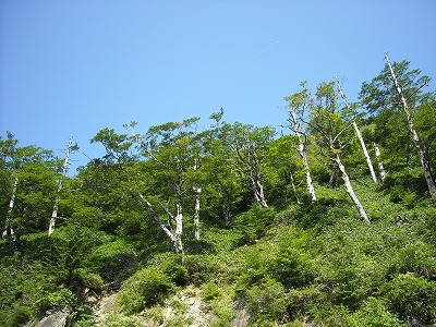 f0308898_19474964.jpg