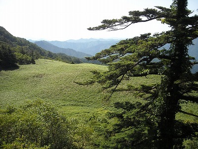 f0308898_19504789.jpg