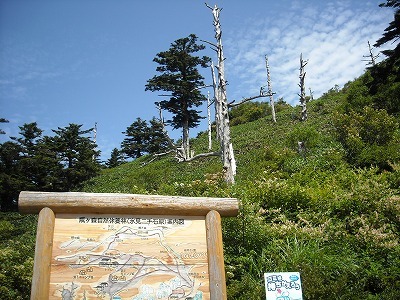f0308898_19515911.jpg