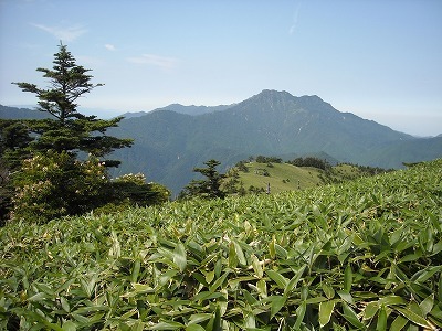 f0308898_19533615.jpg