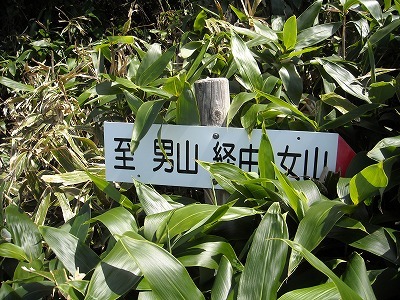 f0308898_19573655.jpg