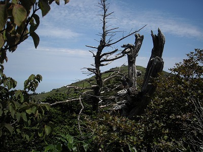 f0308898_19593773.jpg