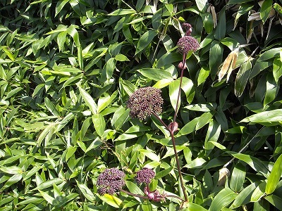 f0308898_20000273.jpg