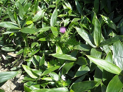 f0308898_20002488.jpg