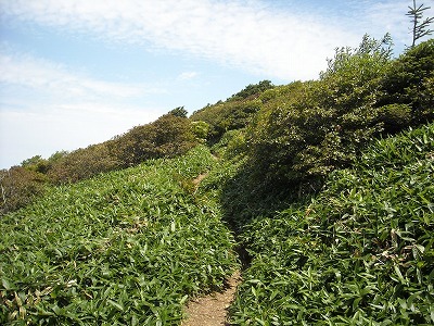 f0308898_20003388.jpg