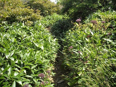 f0308898_20010391.jpg