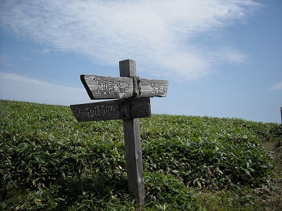 f0308898_20020376.jpg