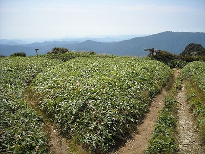 f0308898_20021356.jpg