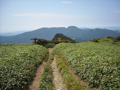 f0308898_20033621.jpg