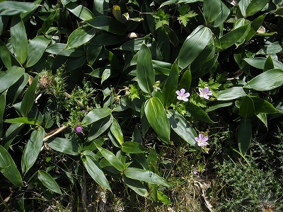 f0308898_20035057.jpg