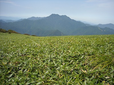 f0308898_20035920.jpg