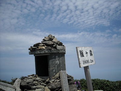 f0308898_20041212.jpg