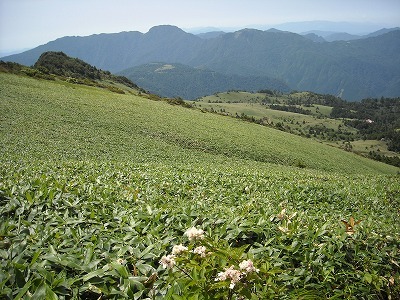 f0308898_20052911.jpg