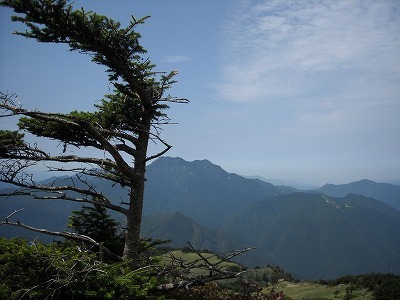 f0308898_20055433.jpg