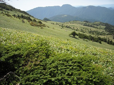 f0308898_20061189.jpg