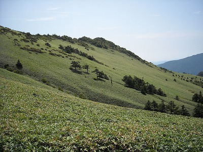 f0308898_20062114.jpg