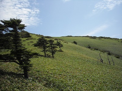 f0308898_20064839.jpg
