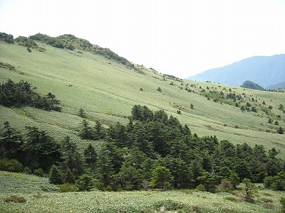 f0308898_20074910.jpg