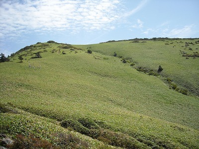 f0308898_20081399.jpg