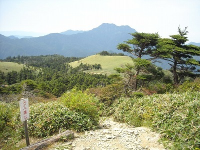 f0308898_20092050.jpg