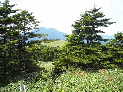 f0308898_20095402.jpg