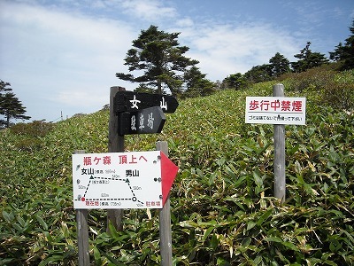 f0308898_20102749.jpg