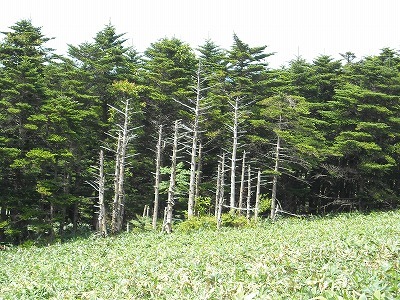 f0308898_20103958.jpg