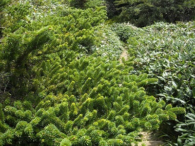 f0308898_20105009.jpg