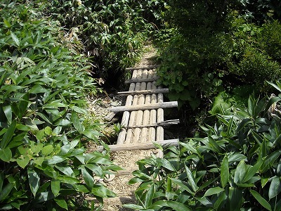 f0308898_20110164.jpg