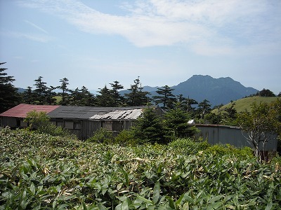 f0308898_20114489.jpg