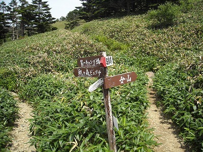 f0308898_20121612.jpg