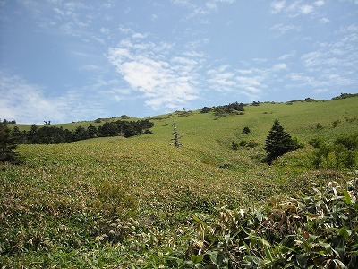 f0308898_20123027.jpg