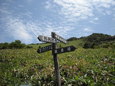f0308898_20124489.jpg