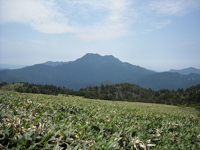 f0308898_20125513.jpg