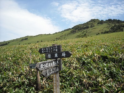 f0308898_20130535.jpg