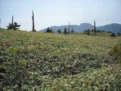f0308898_20132037.jpg