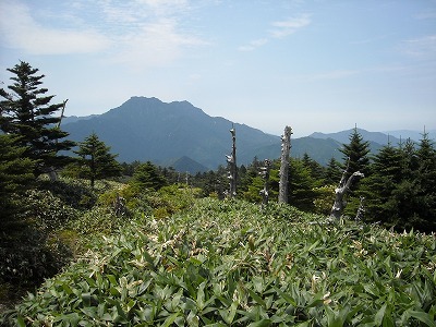 f0308898_20133419.jpg
