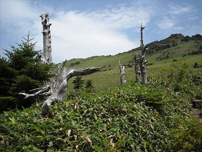 f0308898_20140152.jpg