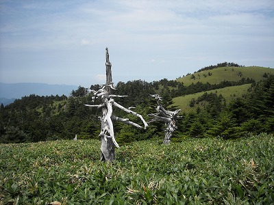 f0308898_20141700.jpg