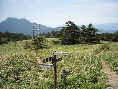 f0308898_20144071.jpg