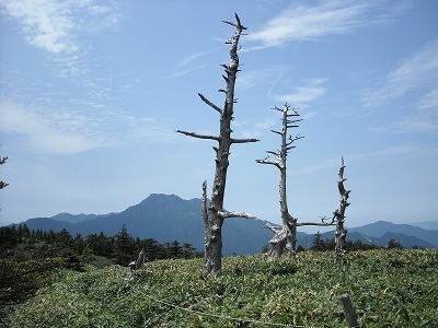 f0308898_20153425.jpg