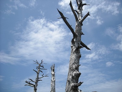 f0308898_20154998.jpg