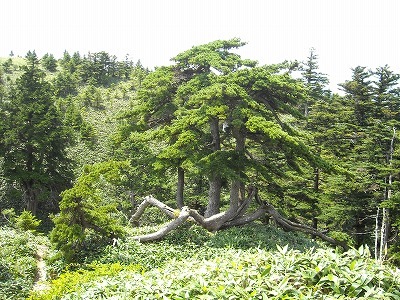 f0308898_20162315.jpg