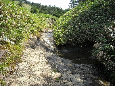 f0308898_20171470.jpg