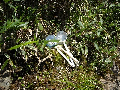 f0308898_20172409.jpg