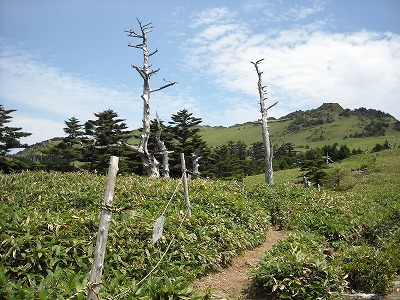 f0308898_20174320.jpg