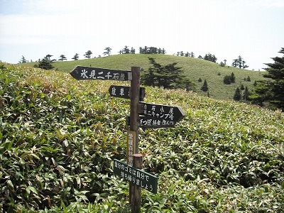 f0308898_20175530.jpg